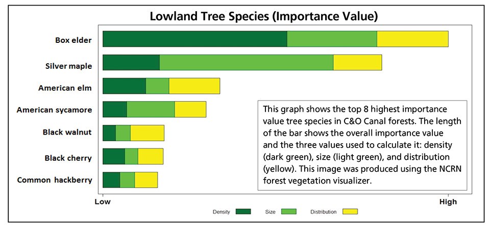 Graph showing dominant trees of lowland forests at C&O Canal NHP.