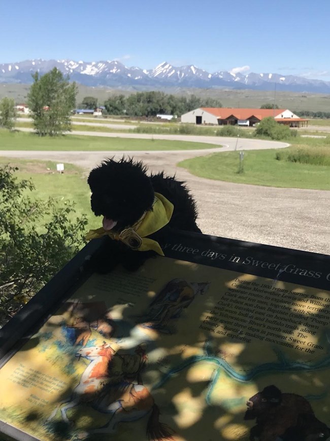 toy dog on sign with mountains in the background