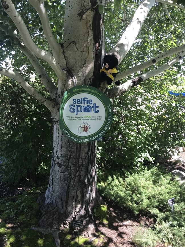 CM4 toy dog near Lewis and Clark Trail selfie spot sign