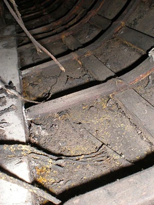 Figure 10: Interior of a kayak (skin on frame construction) that had repeated application of a dressing of Wesson cooking oil in the 1960s and now is exhibiting white fatty acid spew and yellow-orange biological growth. (Photo by Ellen Carrlee)