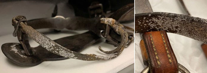 Figure 6: White fatty acid spew on leather saddlery.
