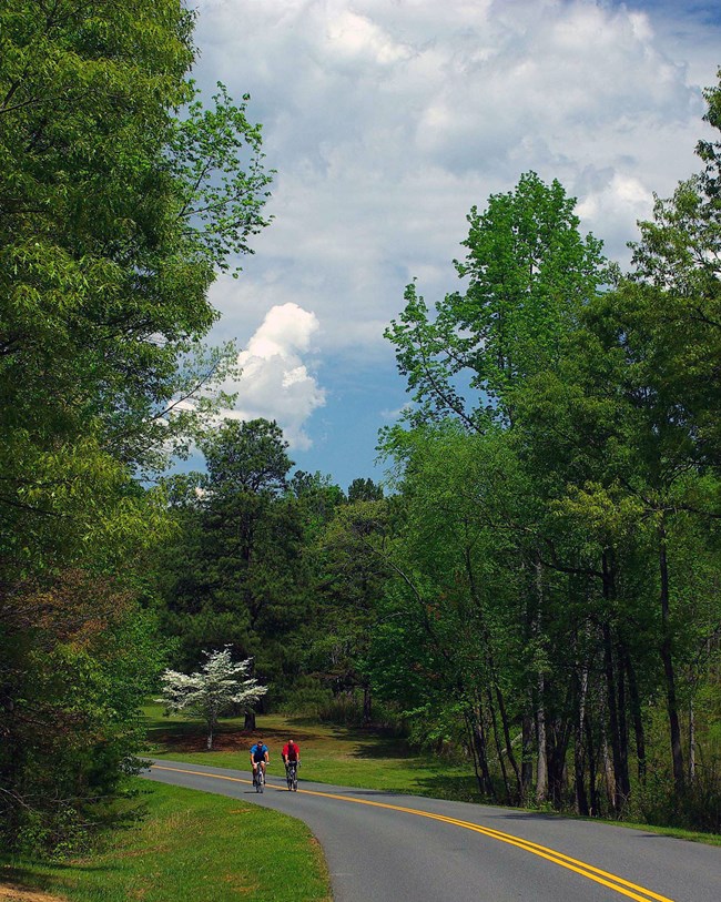 bicycles on park road