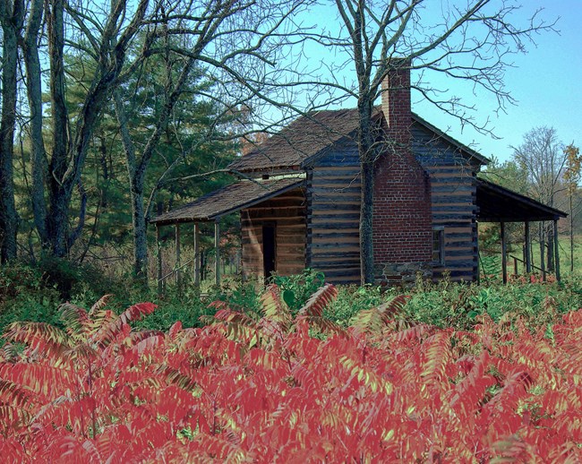 log cabin log cabin