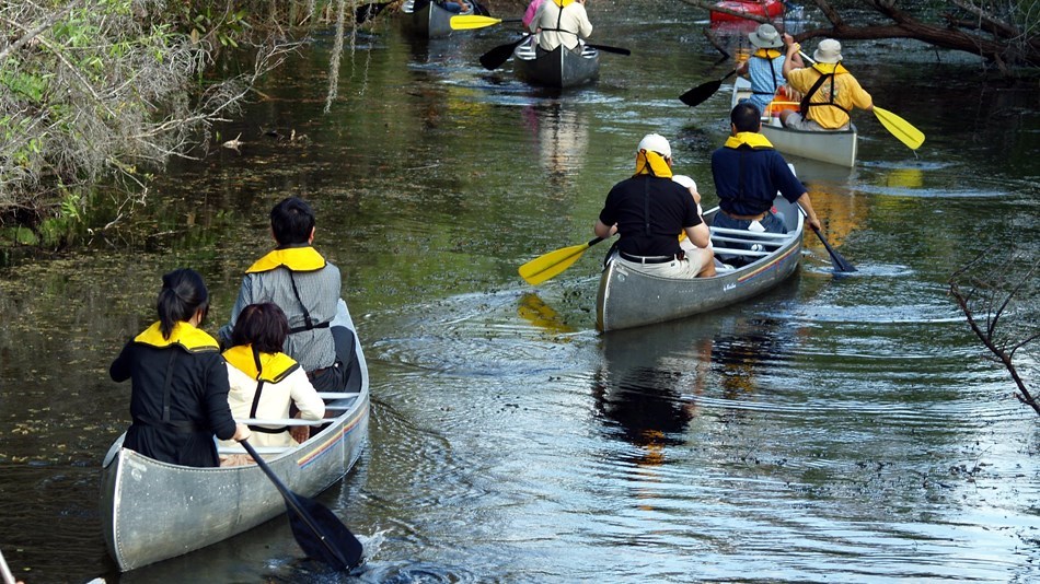 Groups of people paddling in canoes