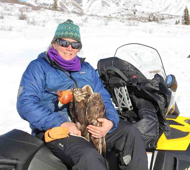 Carol McIntyre Carol with a Golden Eagle