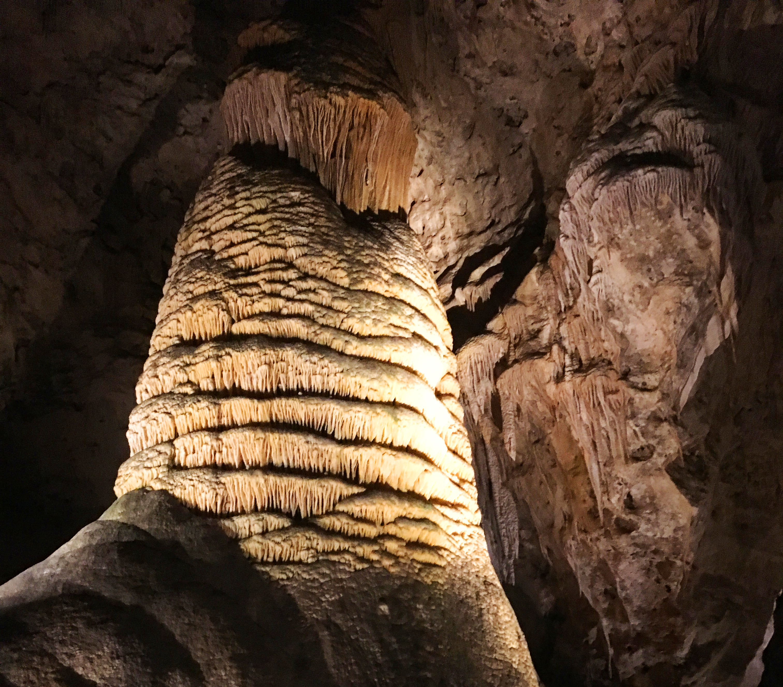 Column formation in Carlsbad Caverns Column formation in Carlsbad Caverns