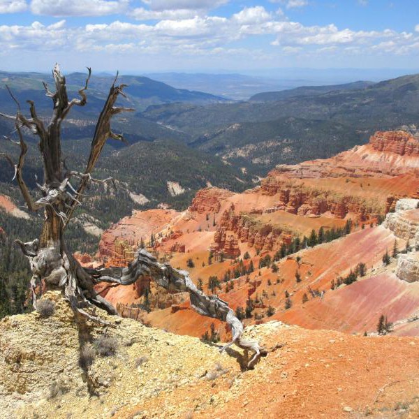 Cedar Breaks National Monument hoodoos