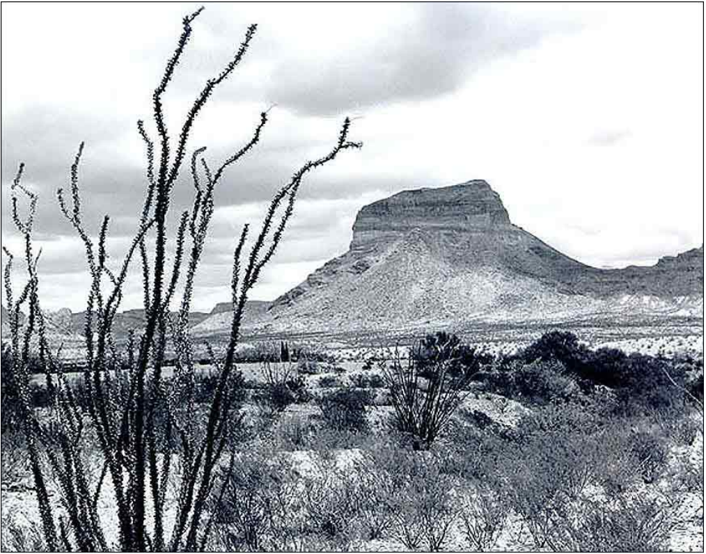 A desert landscape