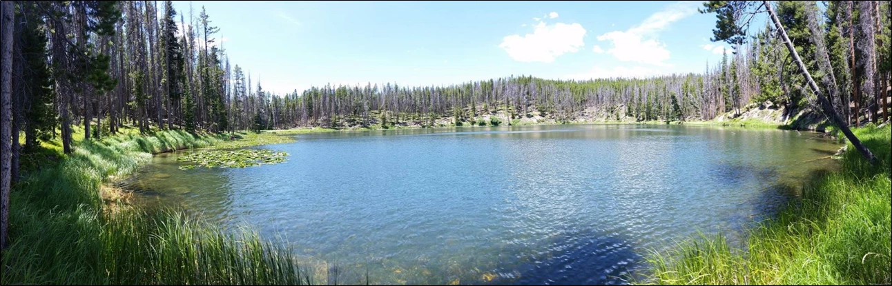 Chickaree Lake panorama A panoramic view of Chickaree Lake with the surrounding forest.