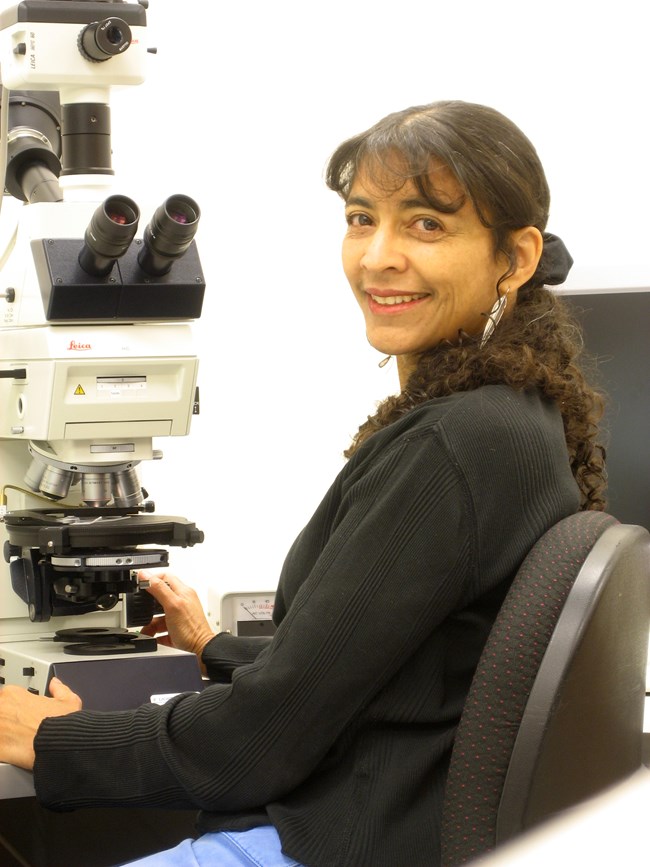 scientist seated at microscope