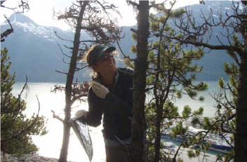 a scientist collects lichen from a tree on a forested mountainside, holding a collection bag