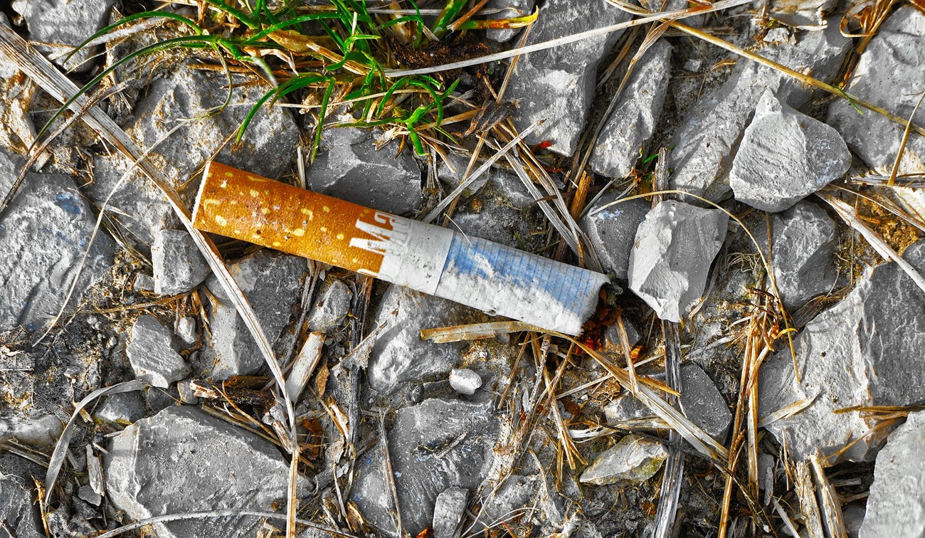 Cigarette Butts: Toxic Plastic Pollution