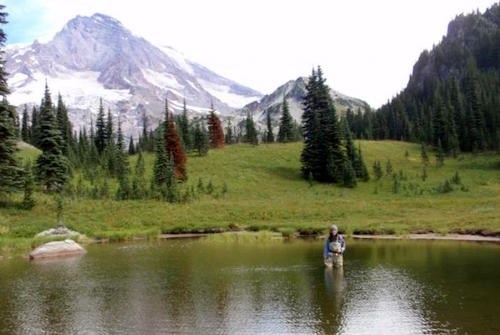 Measuring lake depth. A woman in waders stands hip deep in a subalpine pond surrounded by mountains.