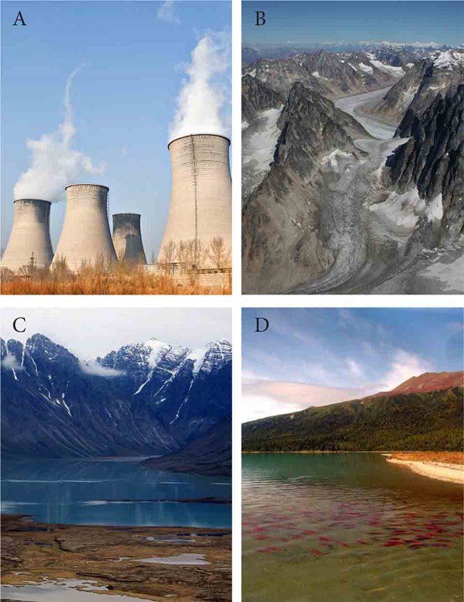 A series of four images showing potential sources of contamination,