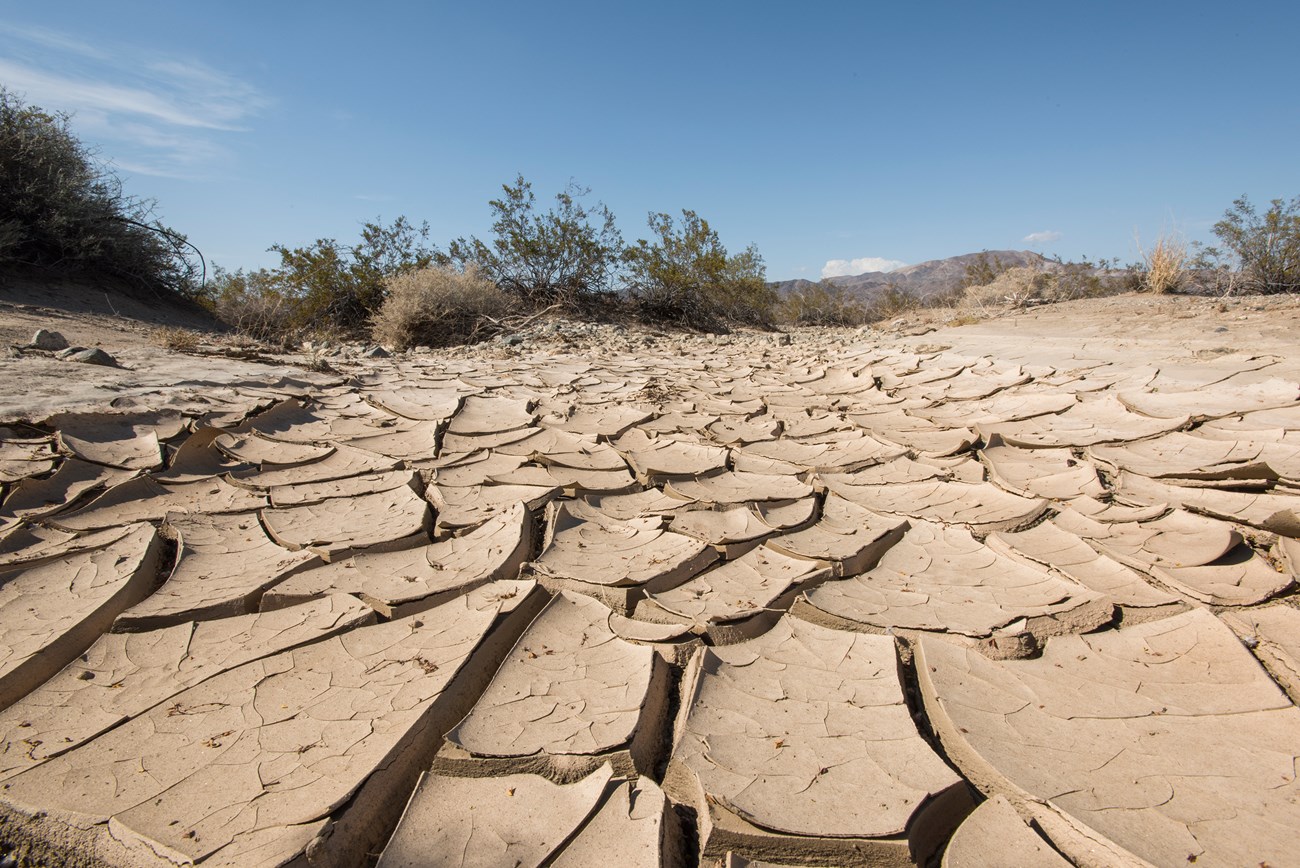 Color photo of deep cracks in mud from a lack of rain. NPS / Brad Sutton