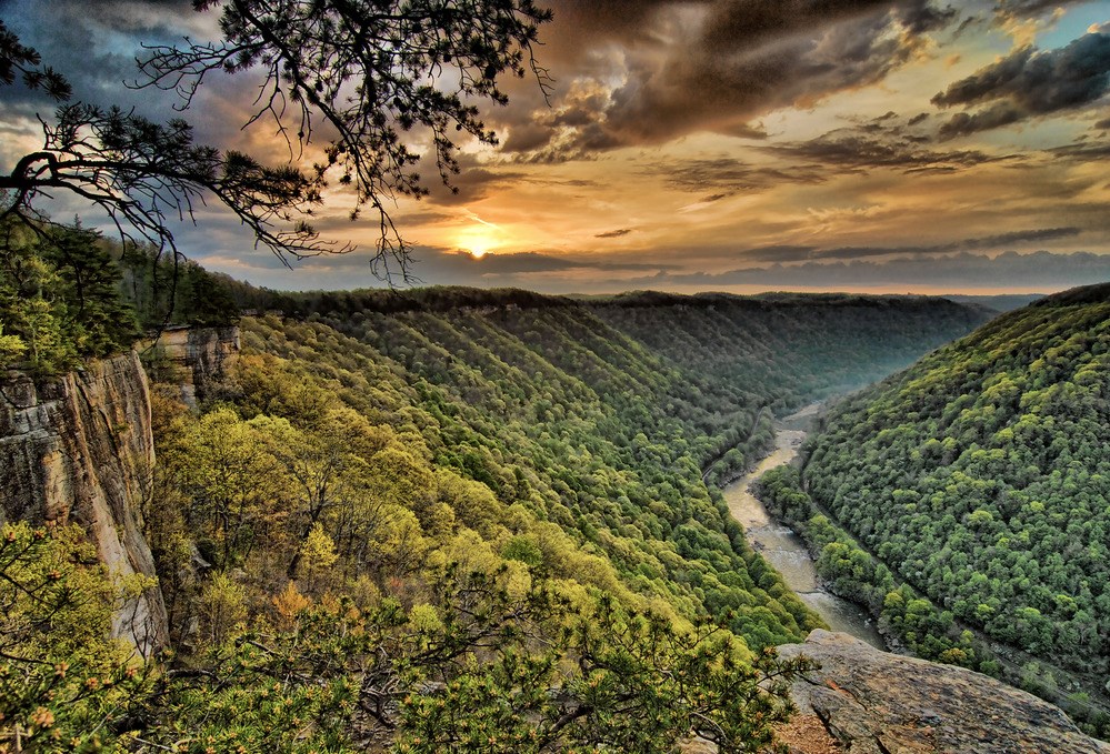 sunrise over a ridge covered with green trees.