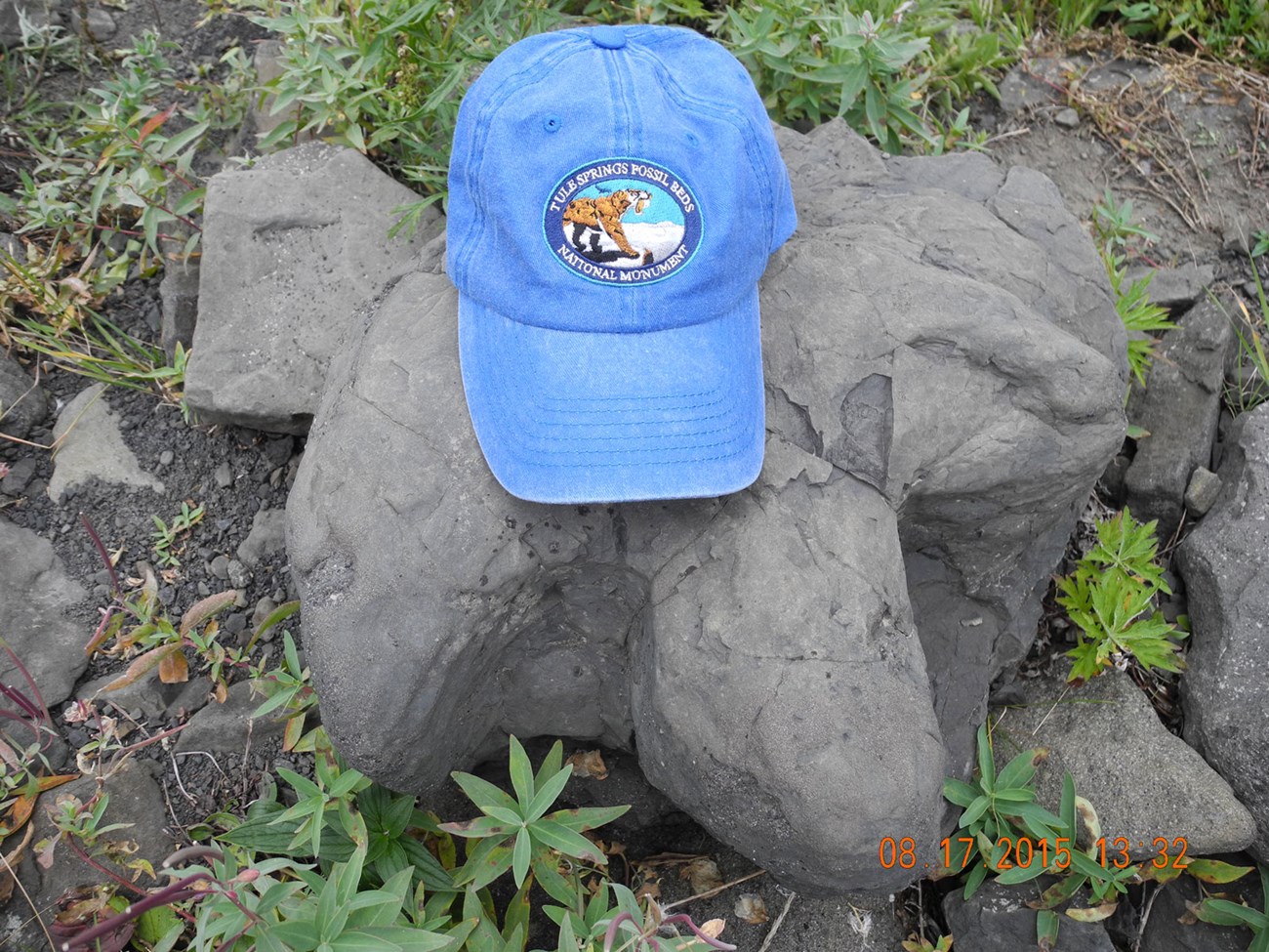Vintage Hat from The 1970's (Western Trails)