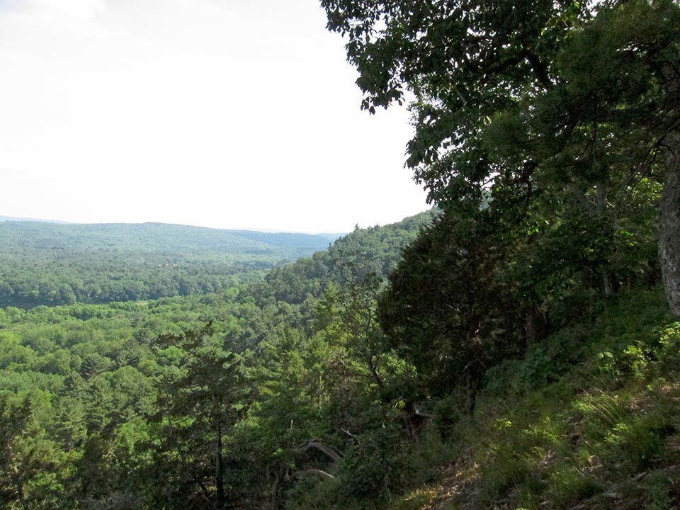 Mountaintop view of a heavily forested landscape
