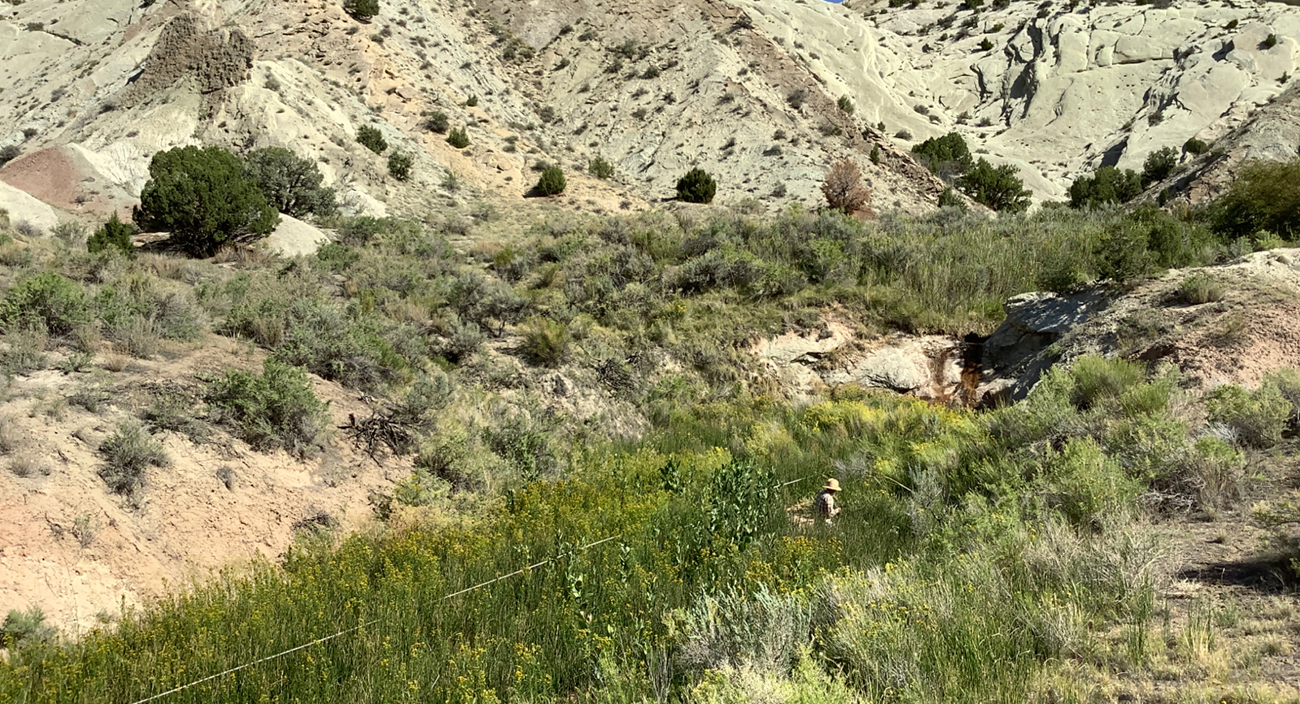 Two researchers stand on a riverbank surrounded by lush grasses and reeds. One is taking notes. Two inflatable rafts are moored nearby on the river. Rocky cliffs and green vegetation are in the background under a clear blue sky.