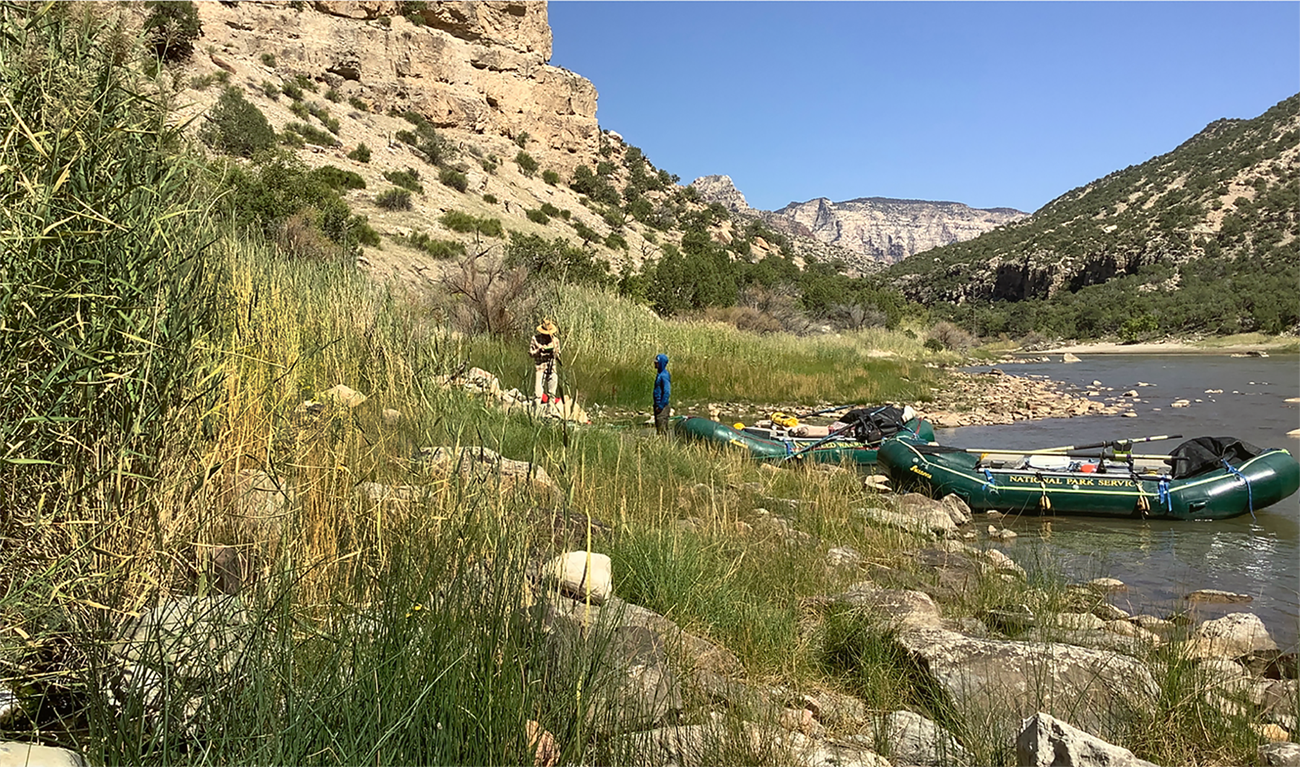 Two researchers stand on a riverbank surrounded by lush grasses and reeds. One is taking notes. Two inflatable rafts are moored nearby on the river. Rocky cliffs and green vegetation are in the background under a clear blue sky.
