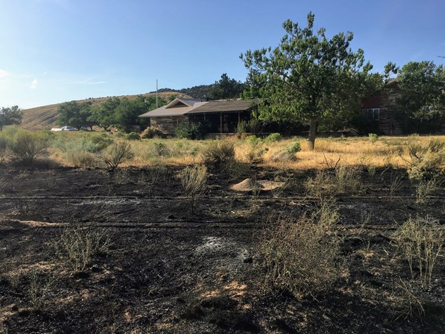 DINO HQ Fire burned area