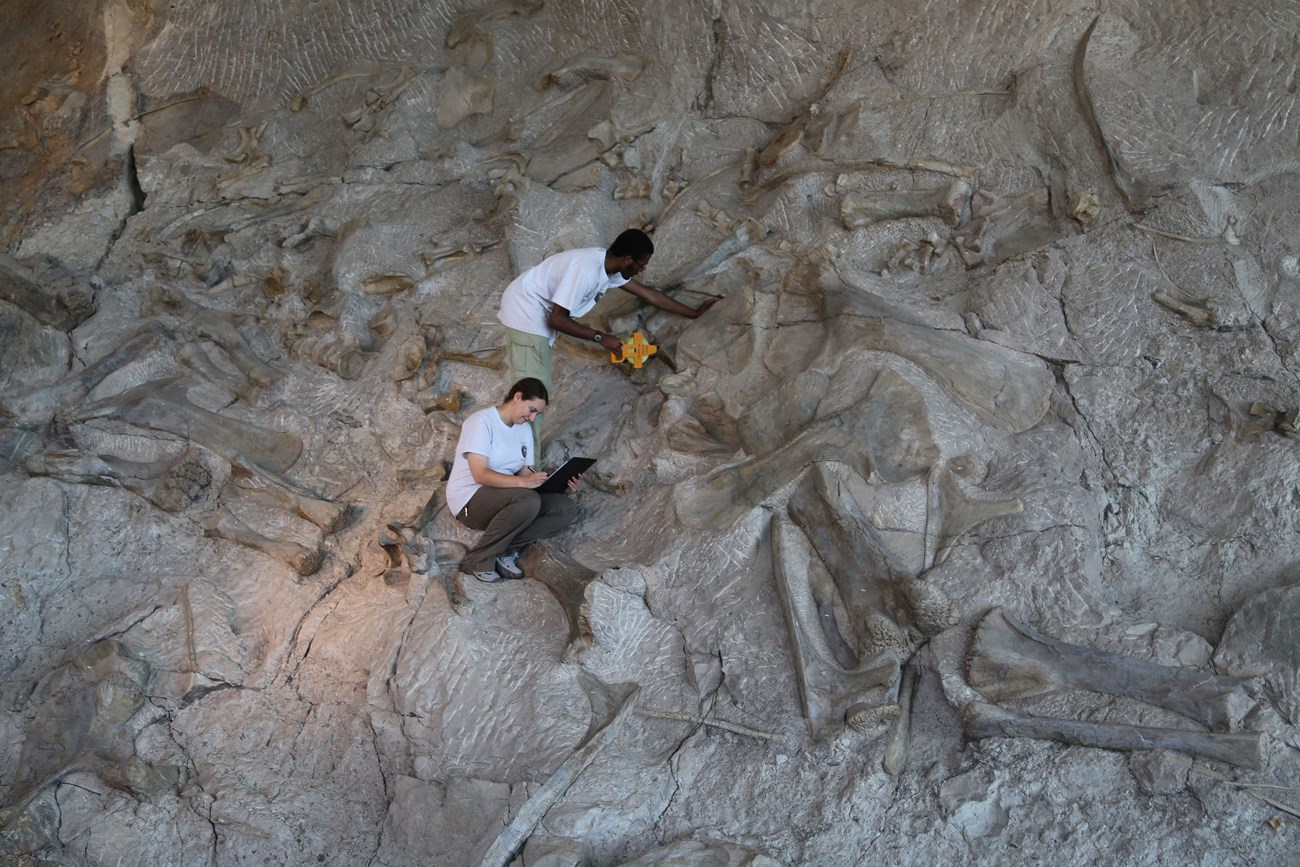 dinosaur quarry