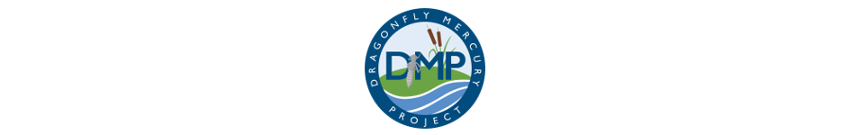 Logo for Dragonfly Mercury Project