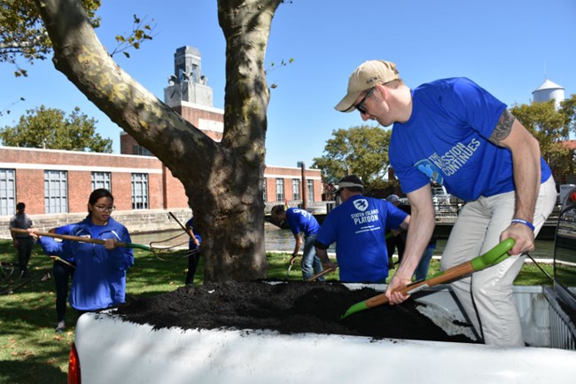 Four people use pitchforks to spread mulch around a tree.
