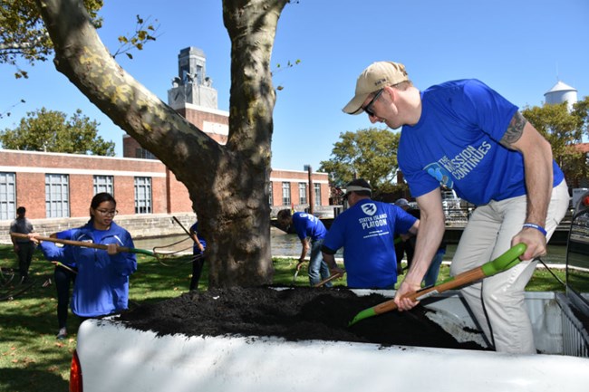 The Mission Continues volunteers spread mulch around a tree. Four people use pitchforks to spread mulch around a tree.