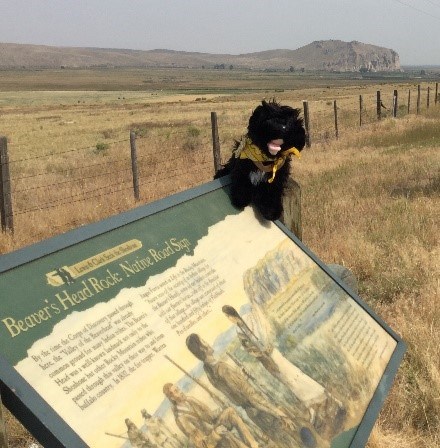 toy dog on sign with large rock in the distance