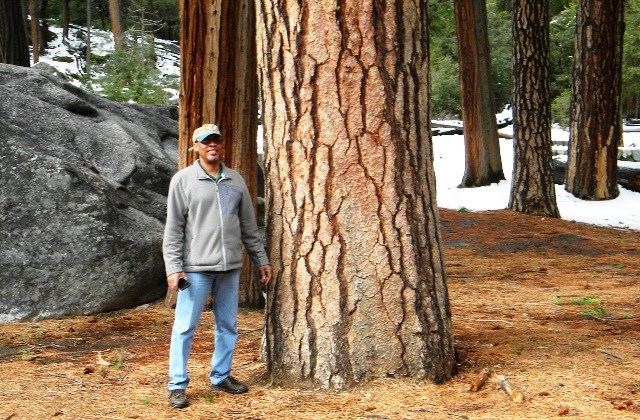 David Thomas at Yosemite National Park