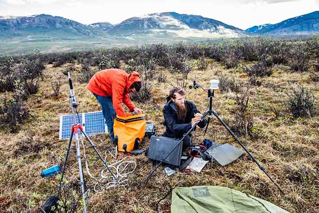 setting up equipment to capture sound Two sound ecologists work in the field setting up equipment.