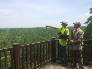 two adults with toy dog at wooden overlook