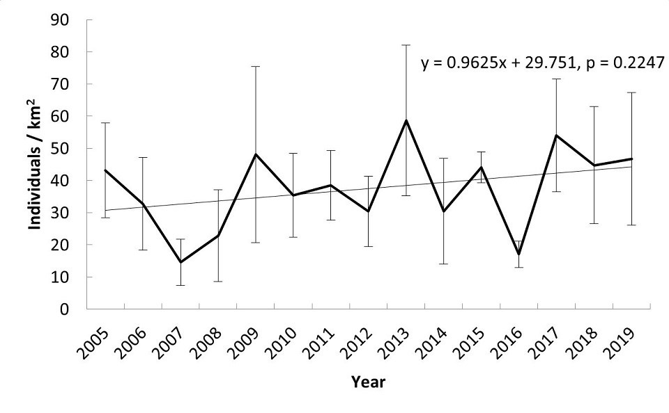 Graph of adjusted deer count at Pea Ridge from 2005-2019. Graph of adjusted deer count at Pea Ridge from 2005-2019.