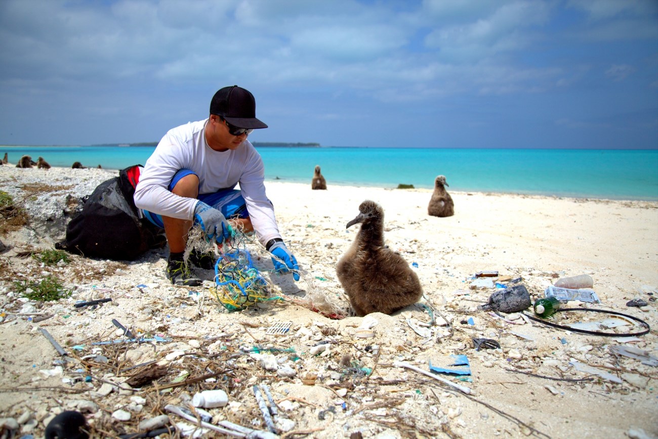 A volunteer removes a fishing net from the feet of a sea bird chick.