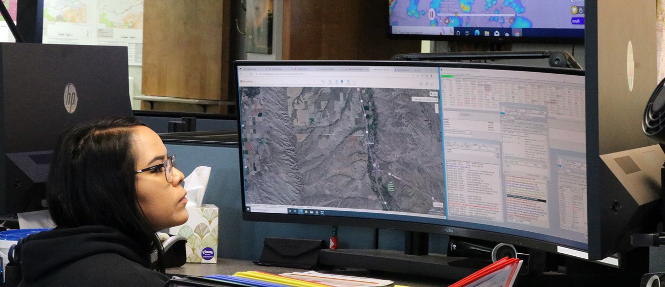 A woman sits in front of and looks at one of three computer screens.