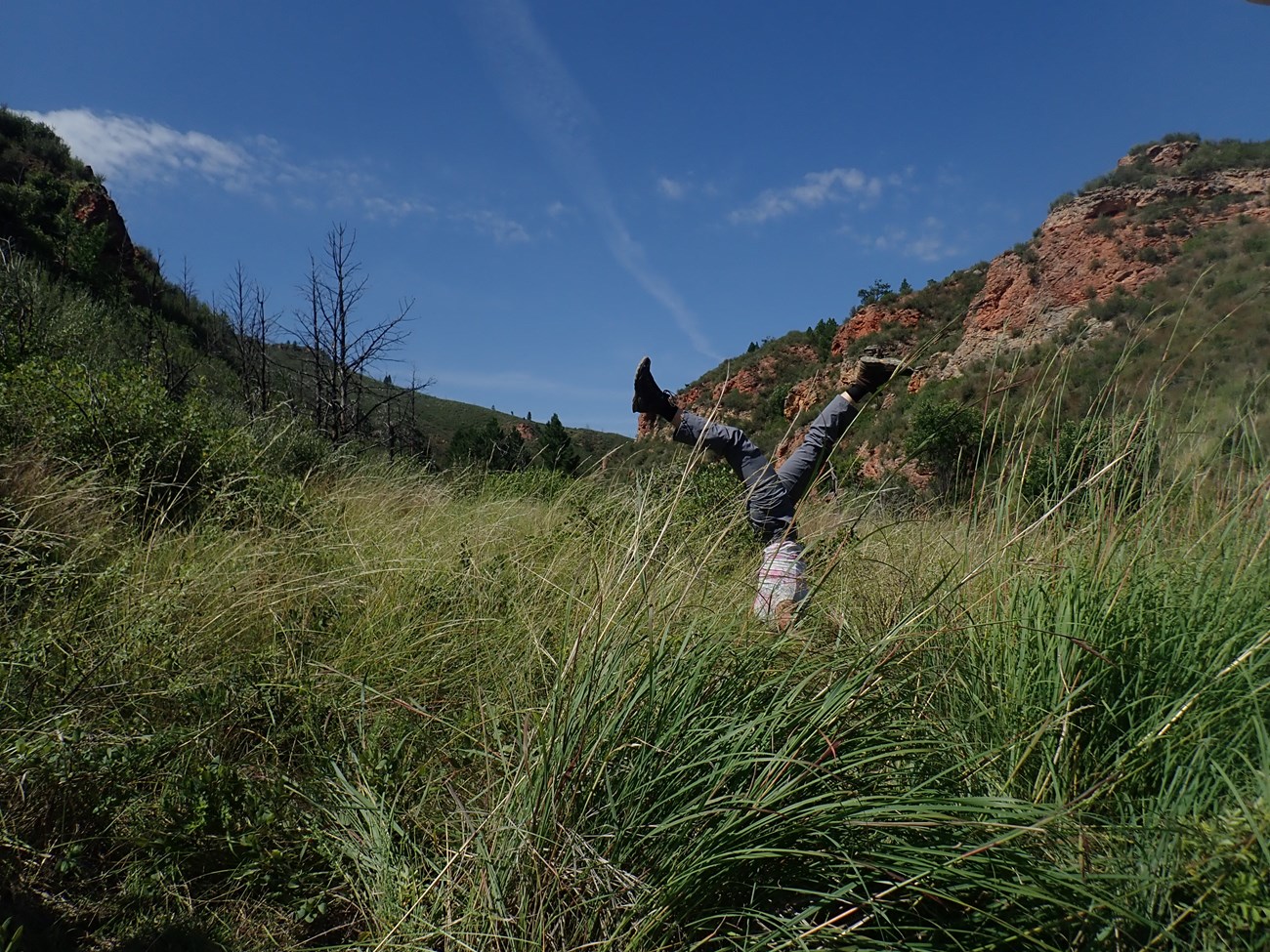 A young woman does a Sirsasana yoga head stand