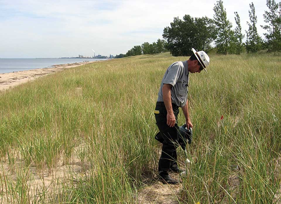 A man applies supplemental water at one of seven reintroduction sites.