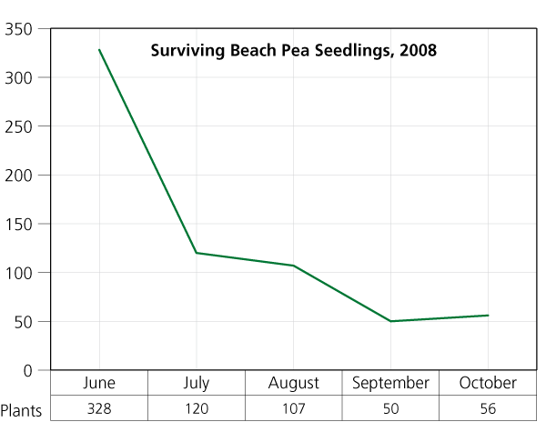 Beach pea survival stabilized at 50 plants by fall 2008. See caption for more information.