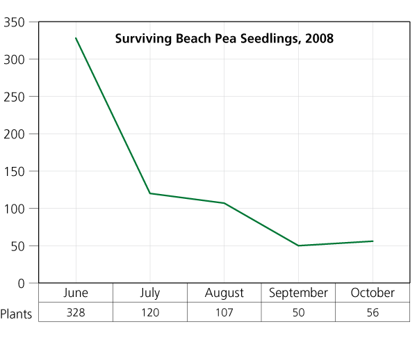 Beach pea survival stabilized at 50 plants by fall 2008. Beach pea survival stabilized at 50 plants by fall 2008. See caption for more information.
