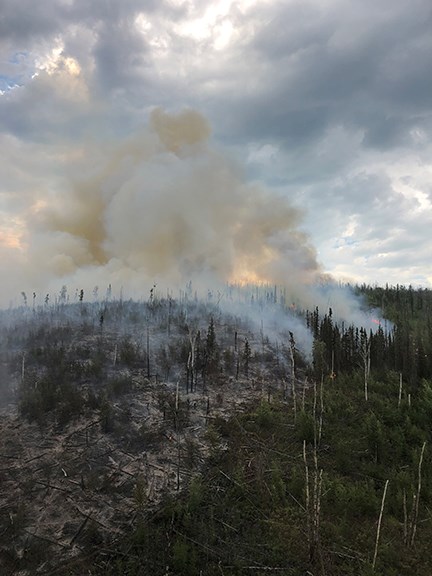Dome Creek Fire burns into old Woodchopper Creek Fire from 2004