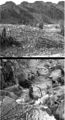 Weekes Macroinvertebrates A photo of an alpine meadow above a photo of a rocky stream