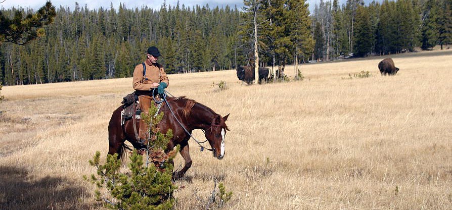Doug Smith rides a horse through a meadow