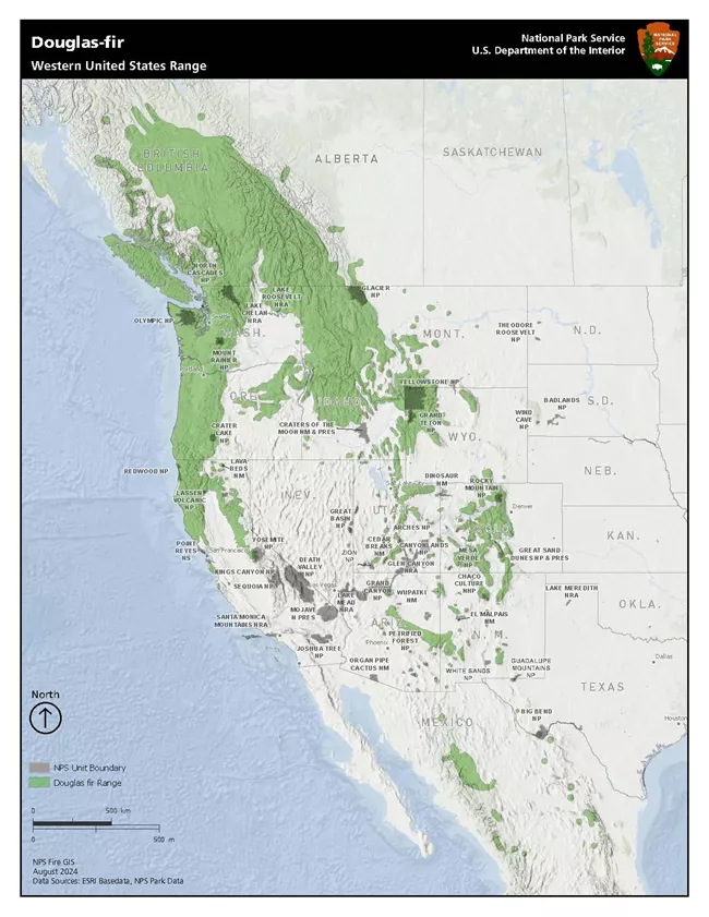 Douglas fir range