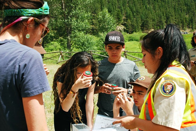 Students collecting samples for the Dragonfly Mercury Project A group of students examine dragonfly larvae samples.