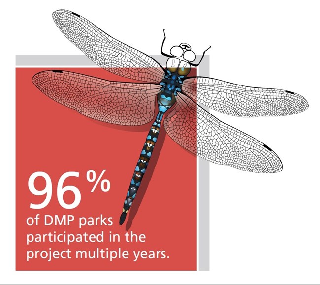 Multi-year participation dragonfly hovering over a box that says, "96% of DMP parks participated in the project multiple years."