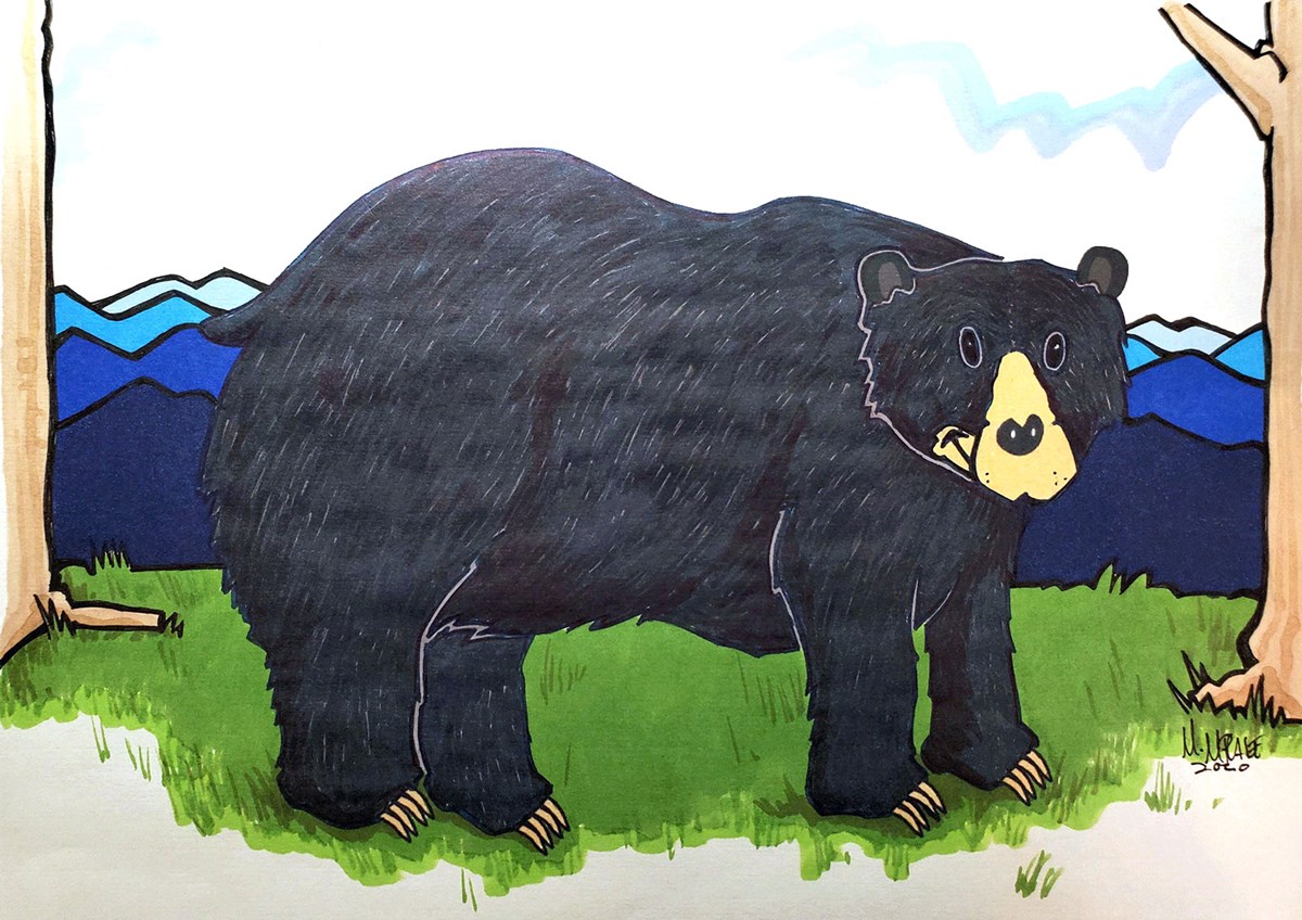 A color illustration of a bear, drawn using the Draw A Bear Challenge template