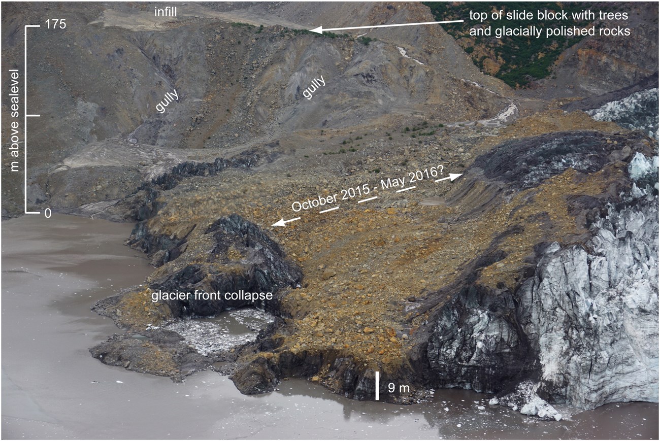 Tyndall glacier terminus covered in landslide debris