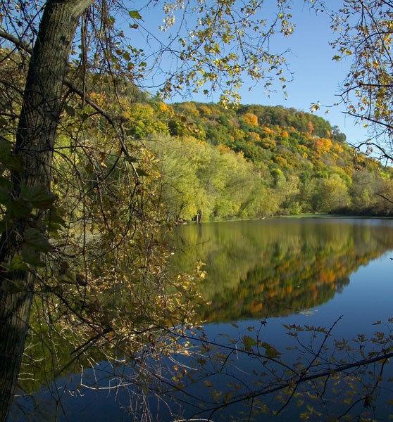 view across pond