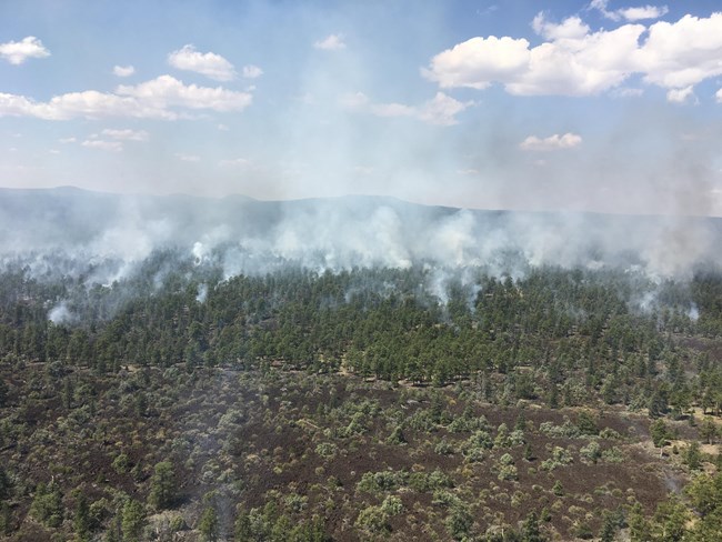 aerial view of smoke rising above the tree tops aerial view of smoke rising above the tree tops